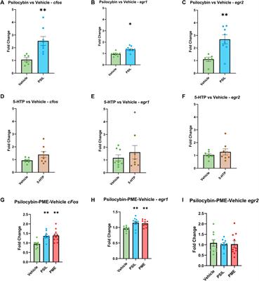 Effects of psilocybin, psychedelic mushroom extract and 5-hydroxytryptophan on brain immediate early gene expression: Interaction with serotonergic receptor modulators